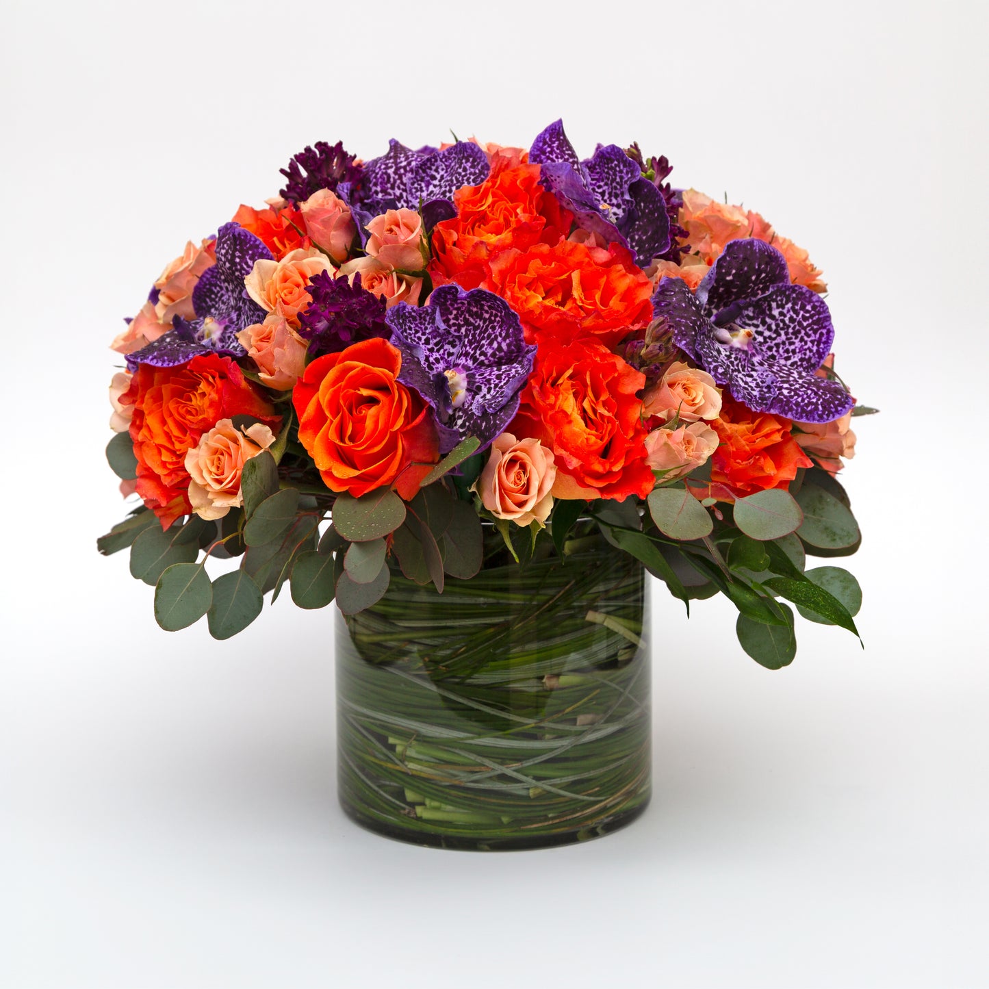 Designer's Choice - Sunset Mix