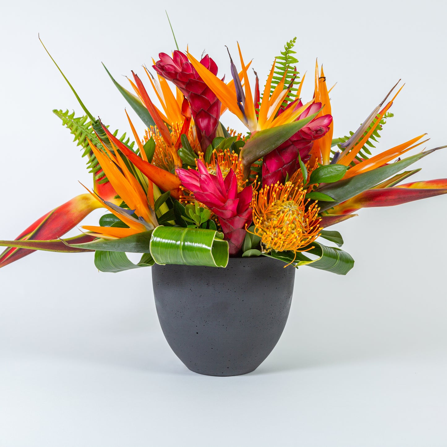 Designer's Choice - Tropical Mix