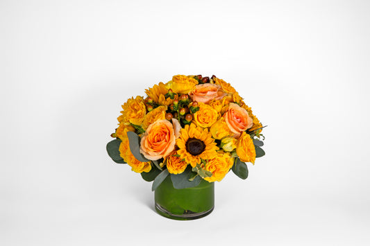 Designer's Choice - Sunburst Tones Mix