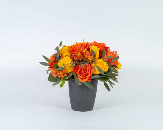 Designer's Choice - Sunshine Mix