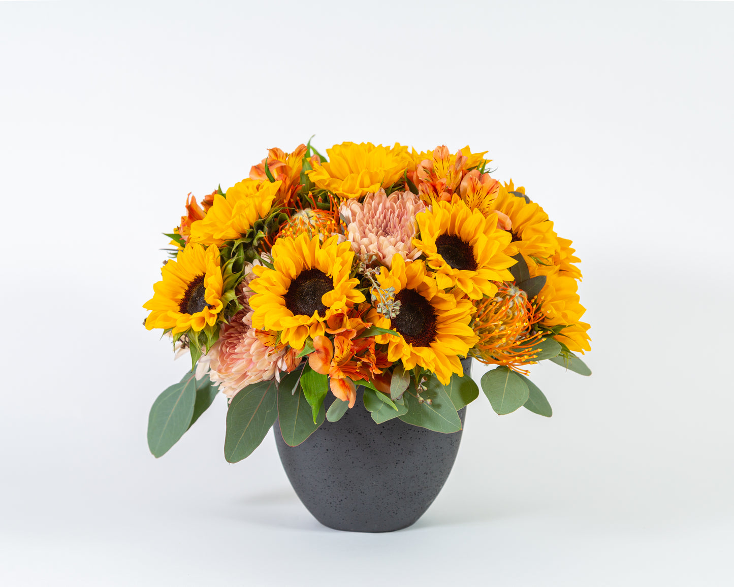 Designer's Choice - Meadow Mix
